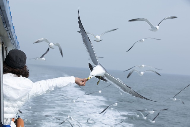 Creating a Balanced Diet for Your Bird