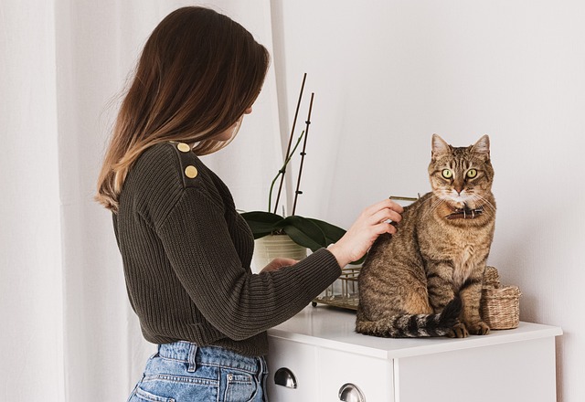 Essential Pet Grooming Techniques